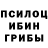 Псилоцибиновые грибы MAGIC MUSHROOMS aldona B