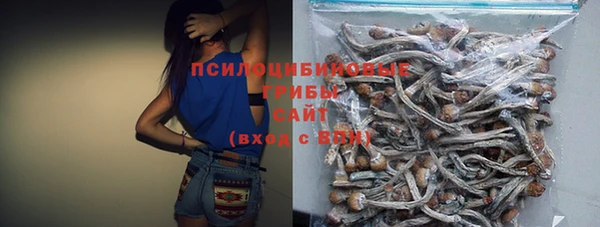 бутират Алзамай