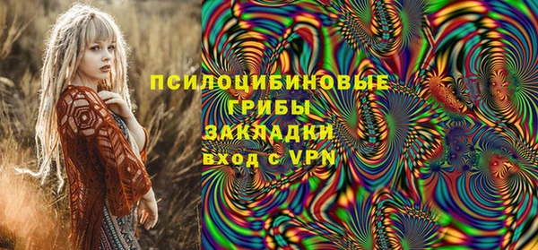 спиды Алексеевка
