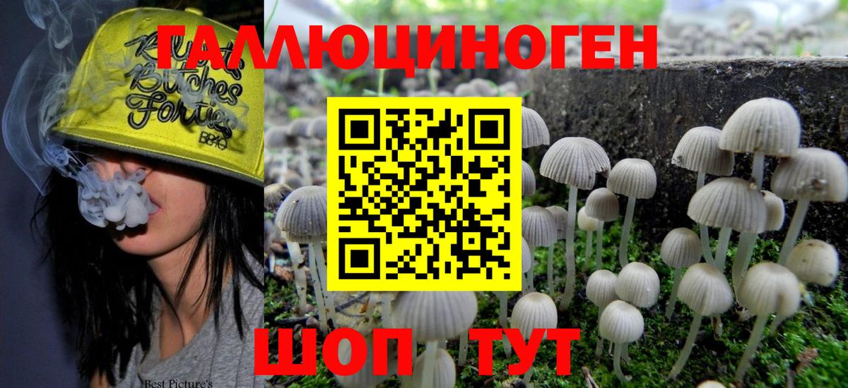 Галлюциногенные грибы Cubensis  Галлюциногенные грибы Magic Shrooms  Вход с VPN  Калач-на-Дону 