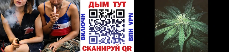 Бошки Шишки планчик  закладки  Калач-на-Дону 